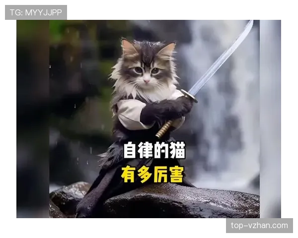 掌敏洁家的猫都比你自律 掌敏洁家的猫都比你自律